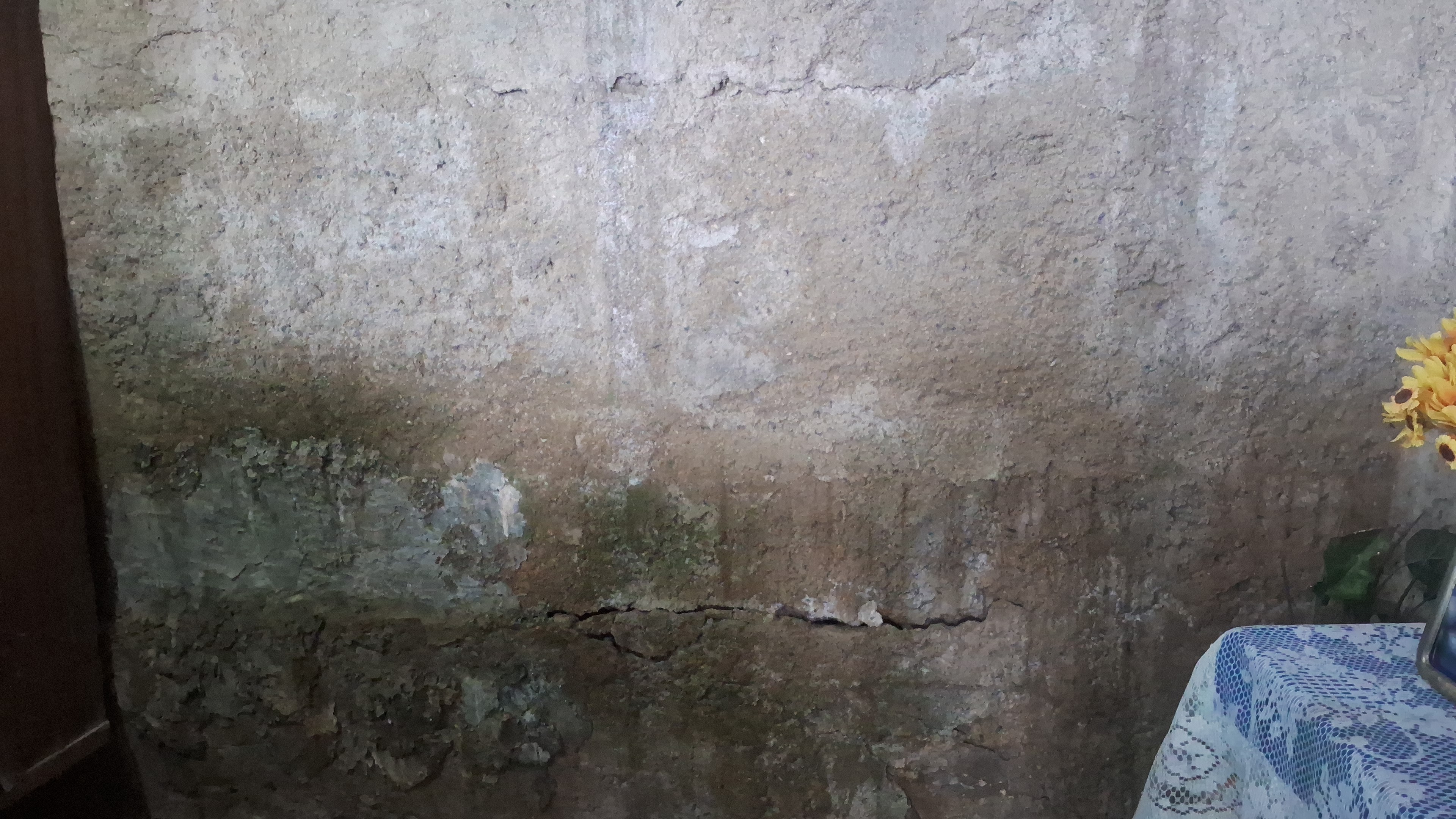 Foto reporte