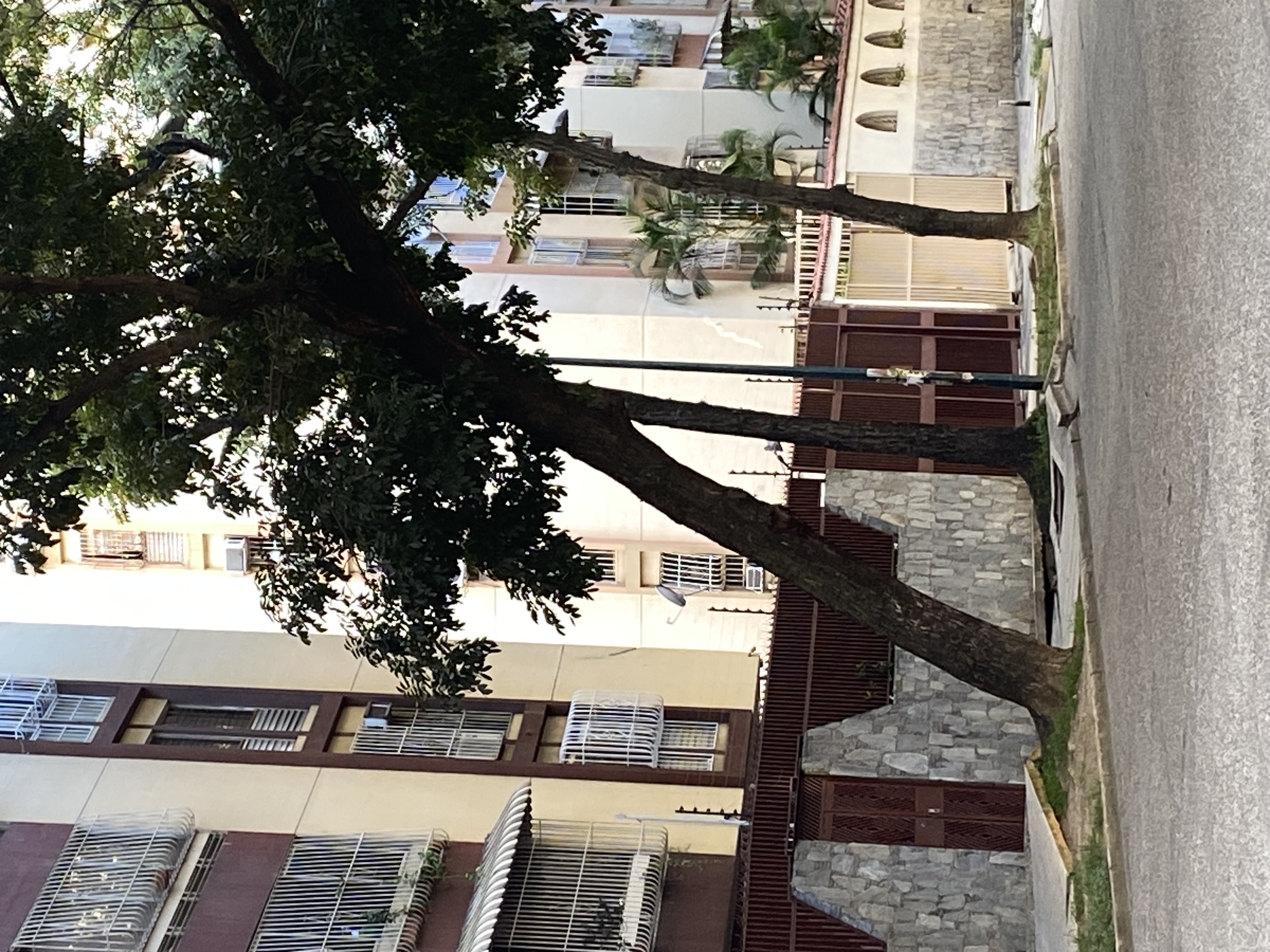 Foto reporte
