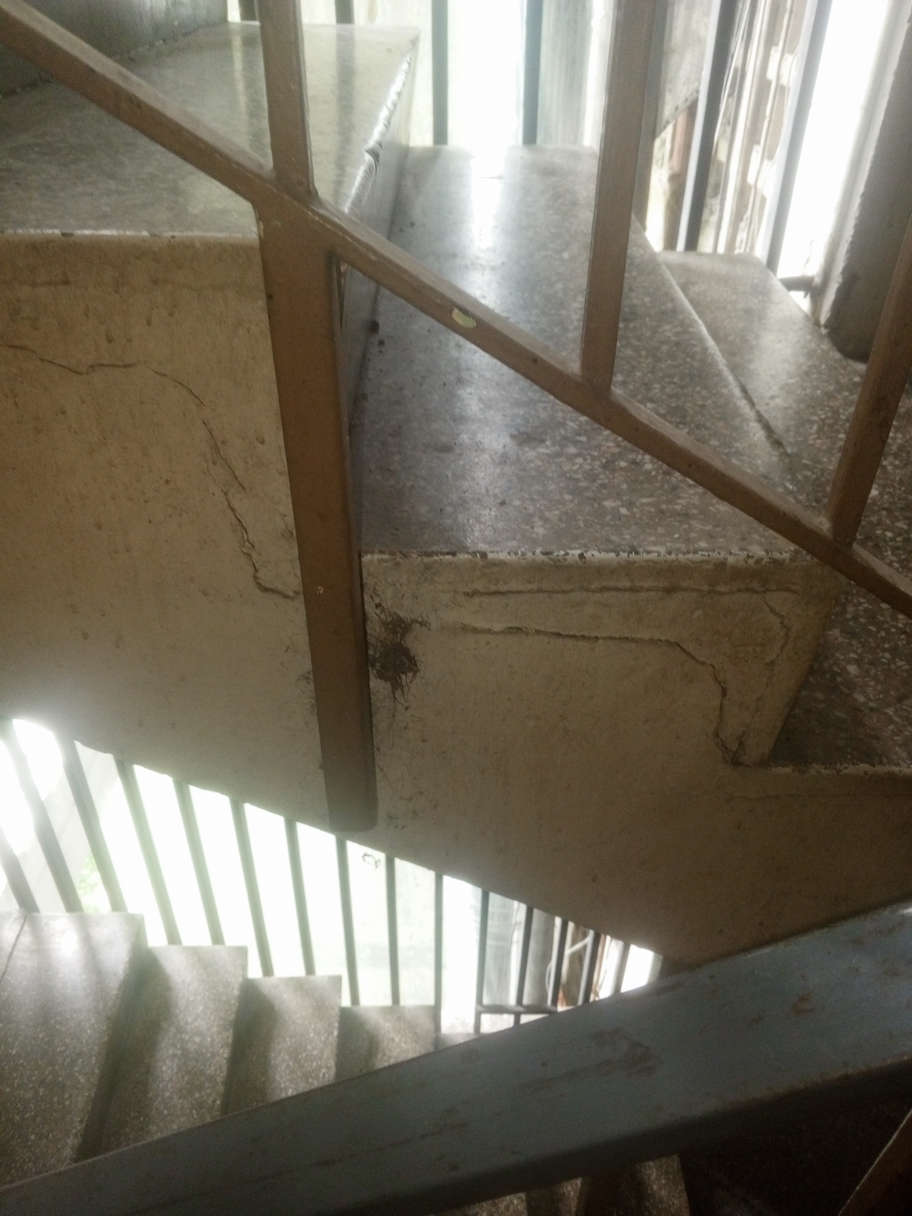 Foto reporte