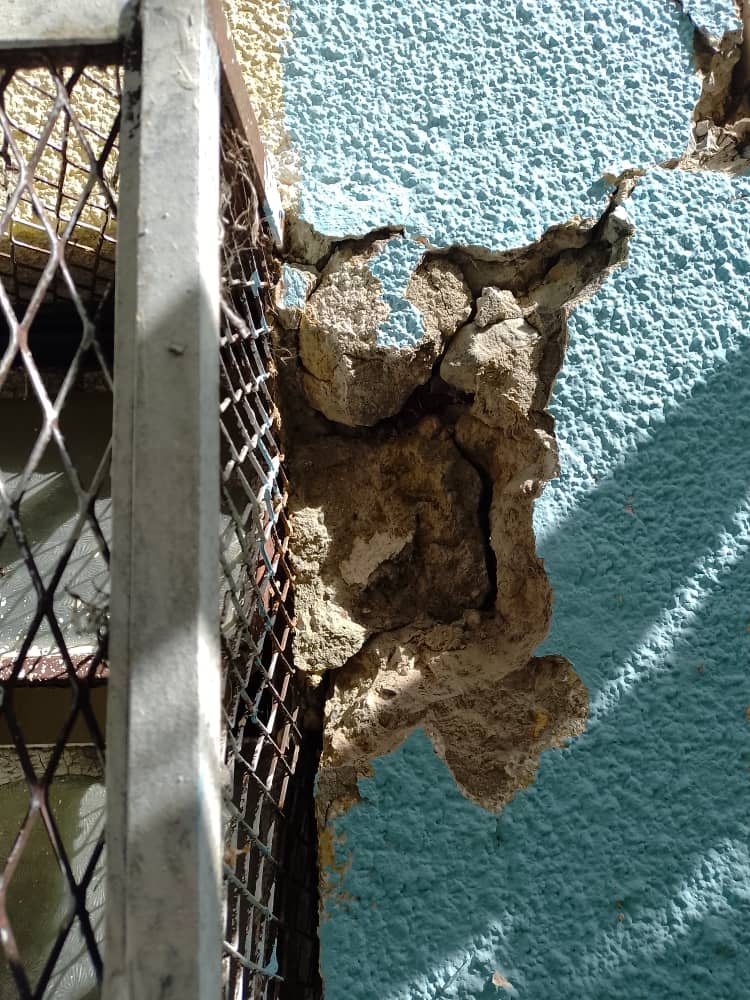 Foto reporte