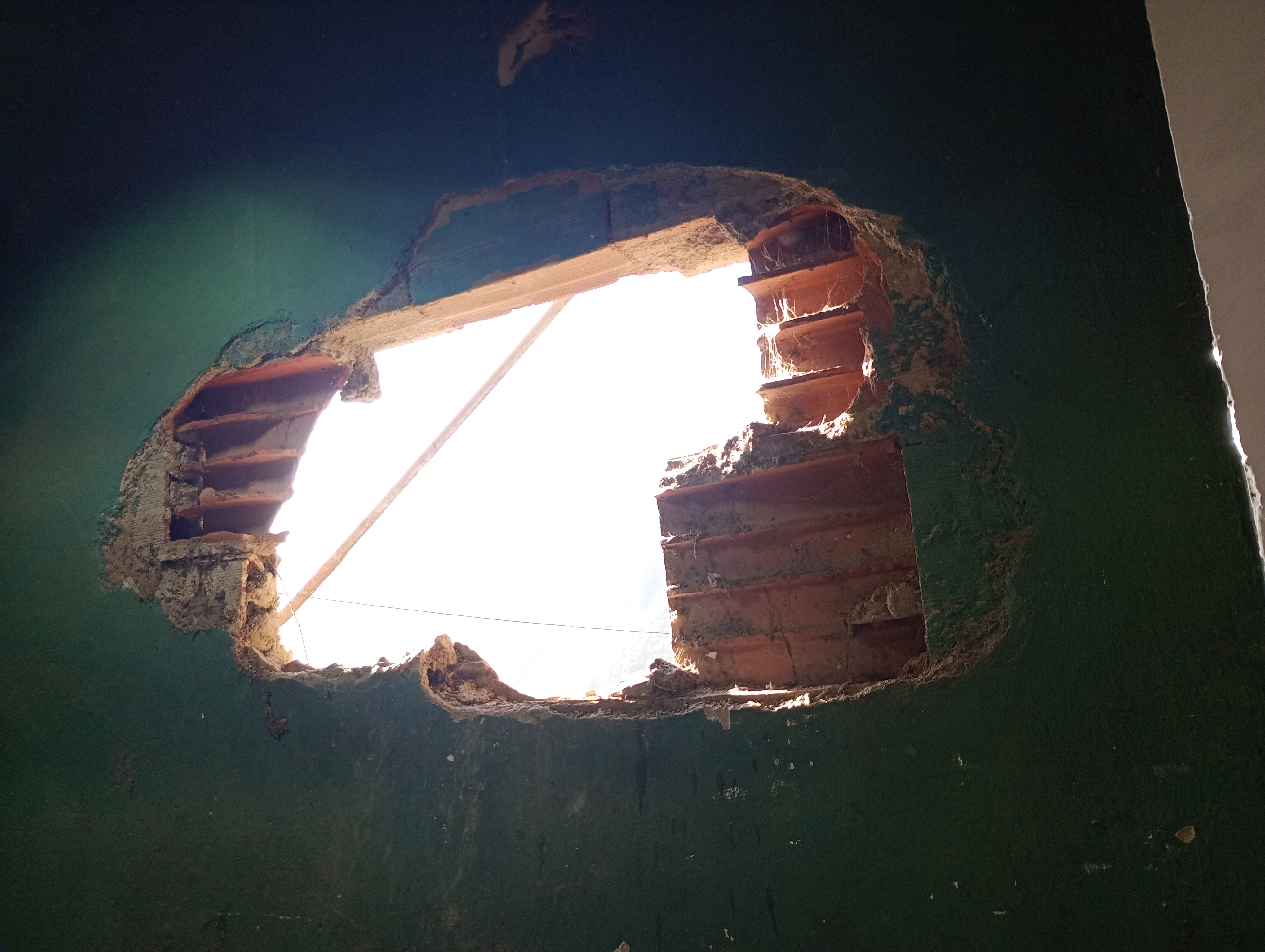 Foto reporte