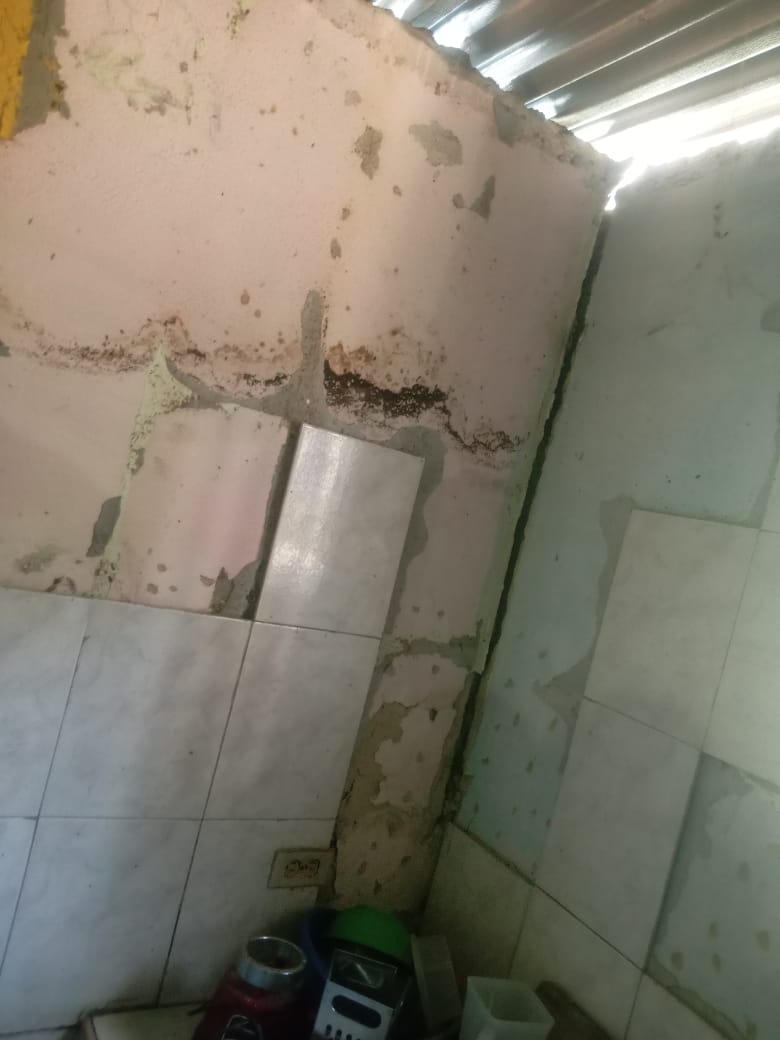 Foto reporte
