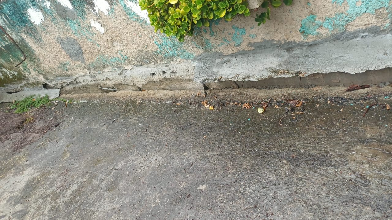 Foto reporte