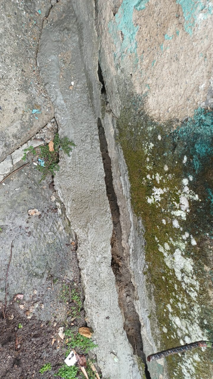 Foto reporte