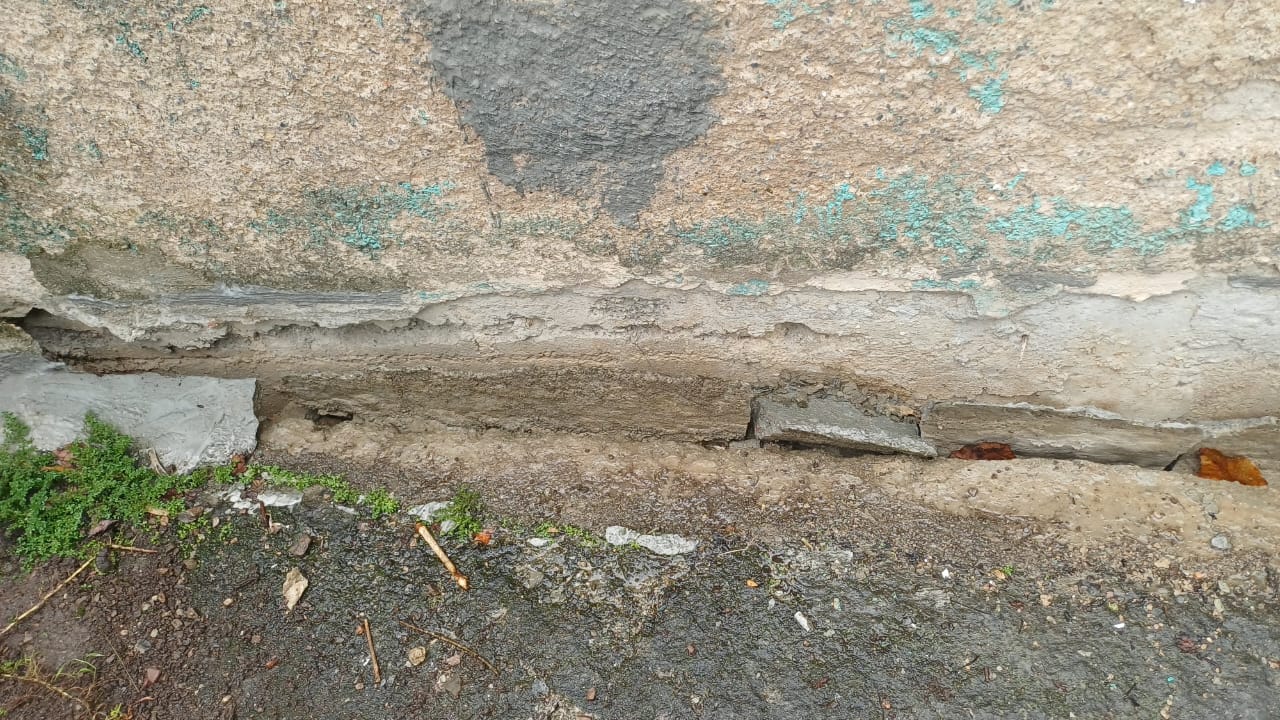 Foto reporte