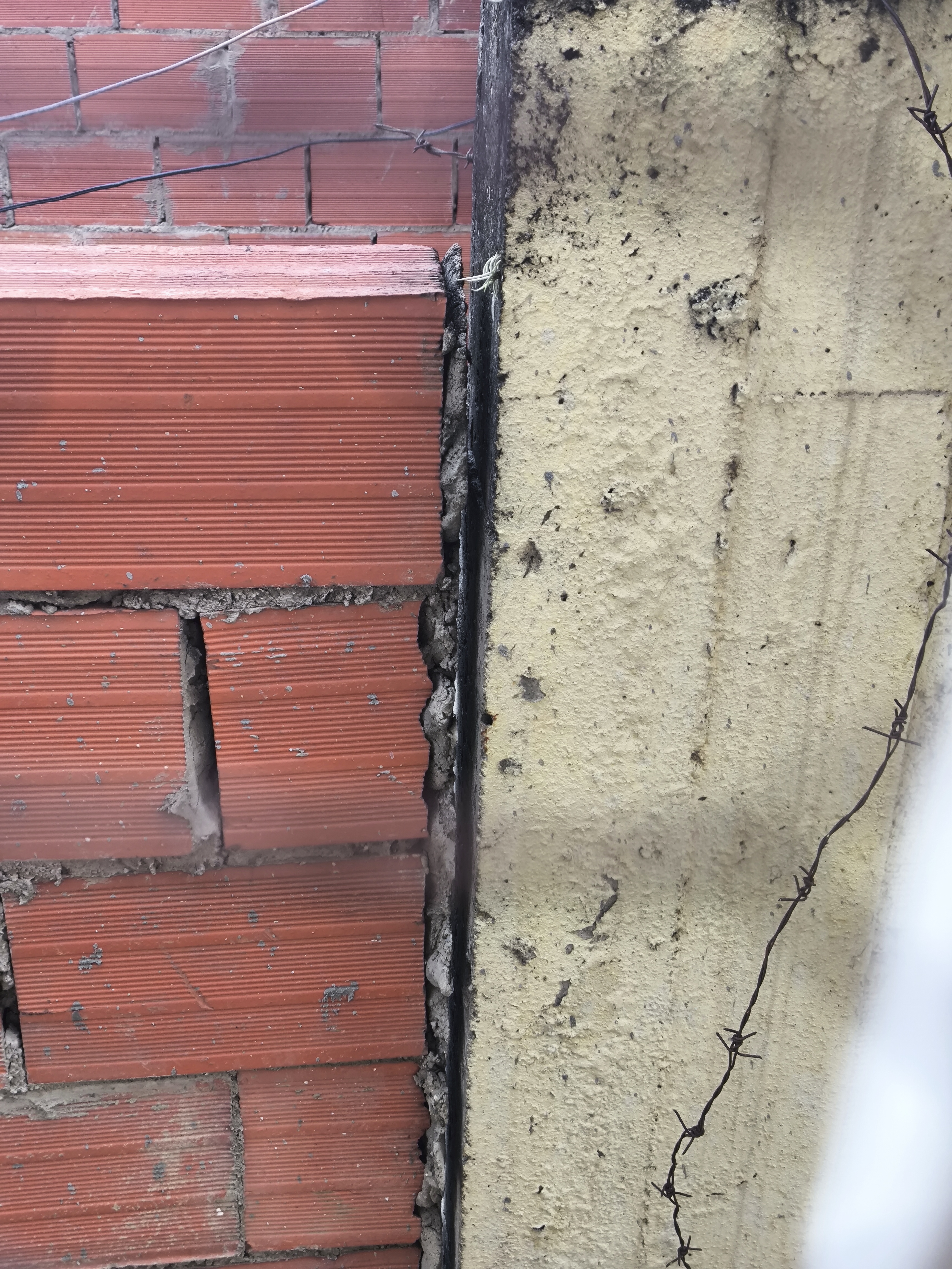 Foto reporte
