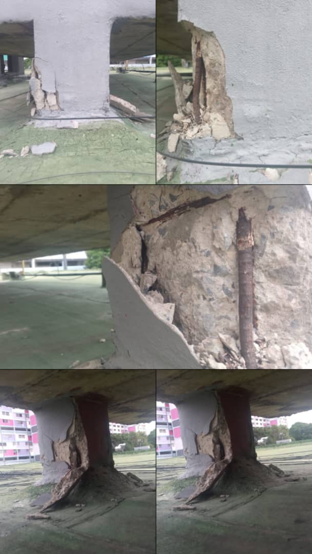 Foto reporte