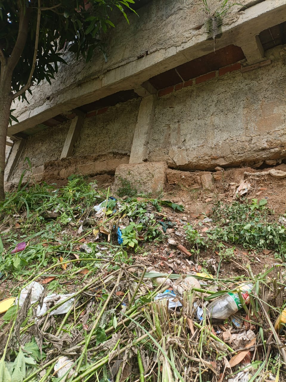 Foto reporte