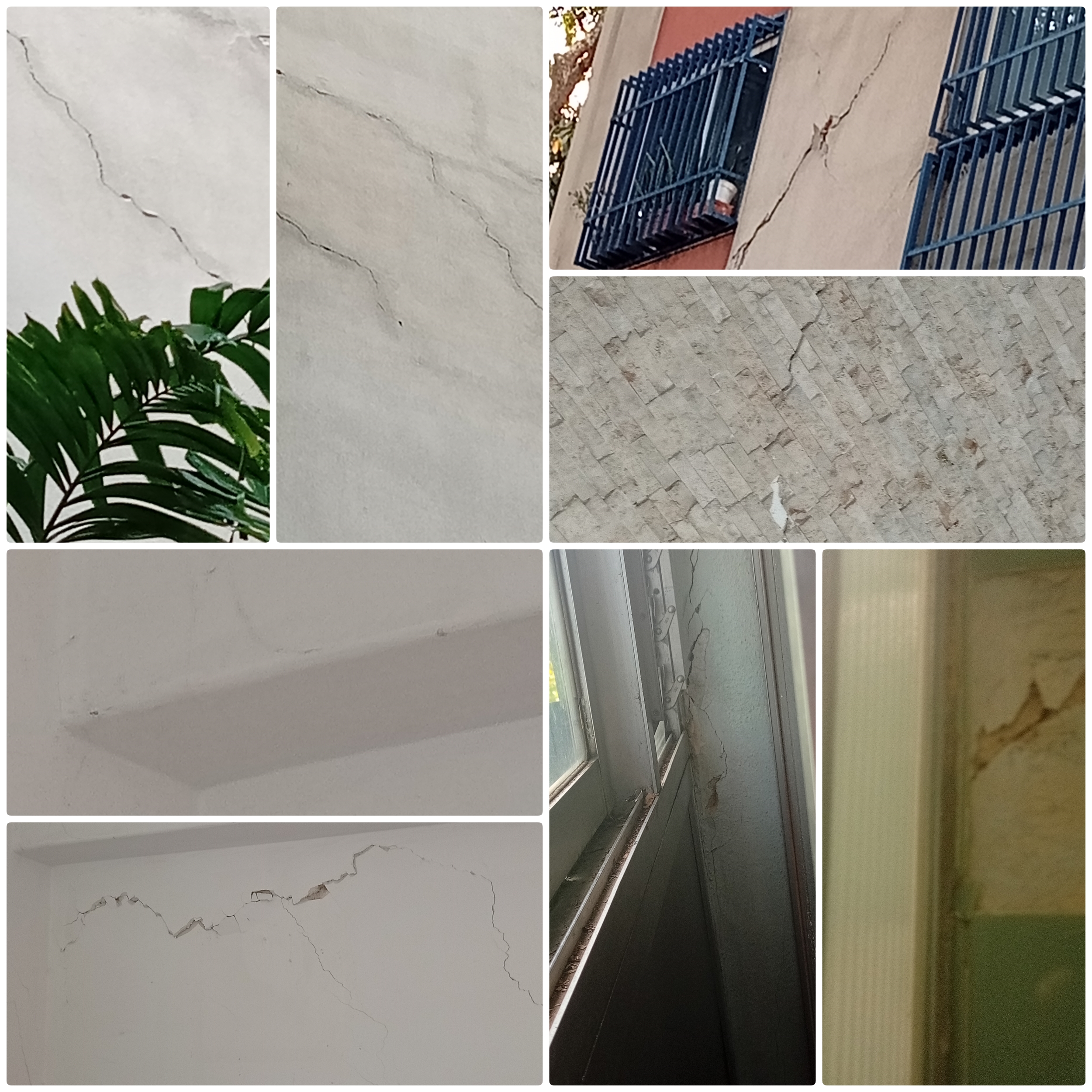Foto reporte