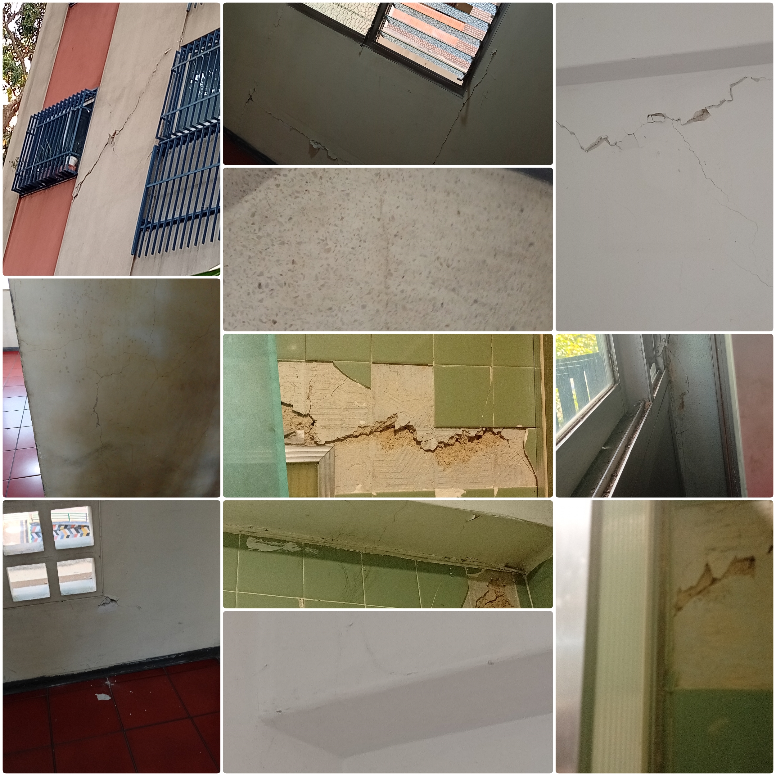 Foto reporte