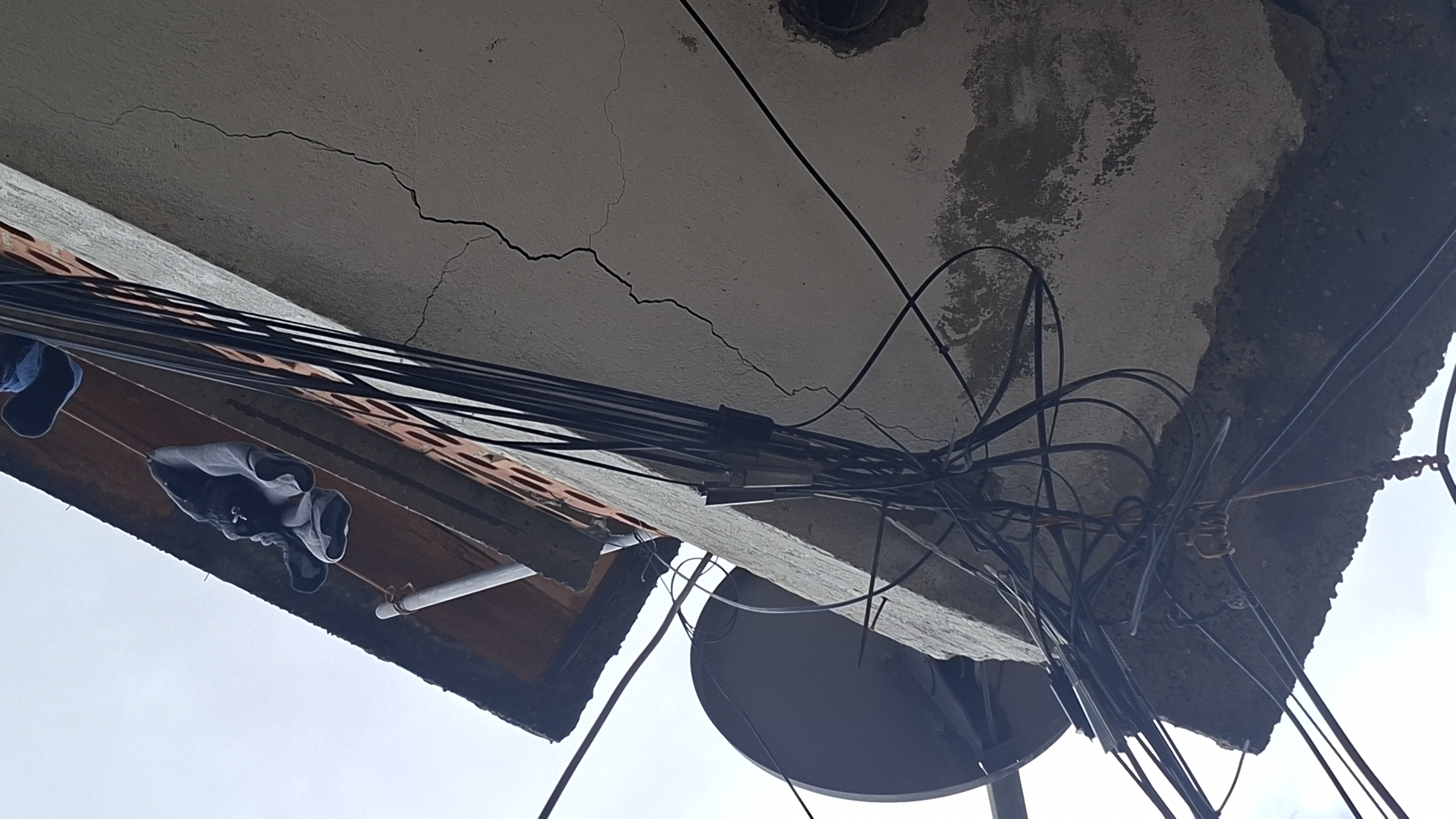 Foto reporte