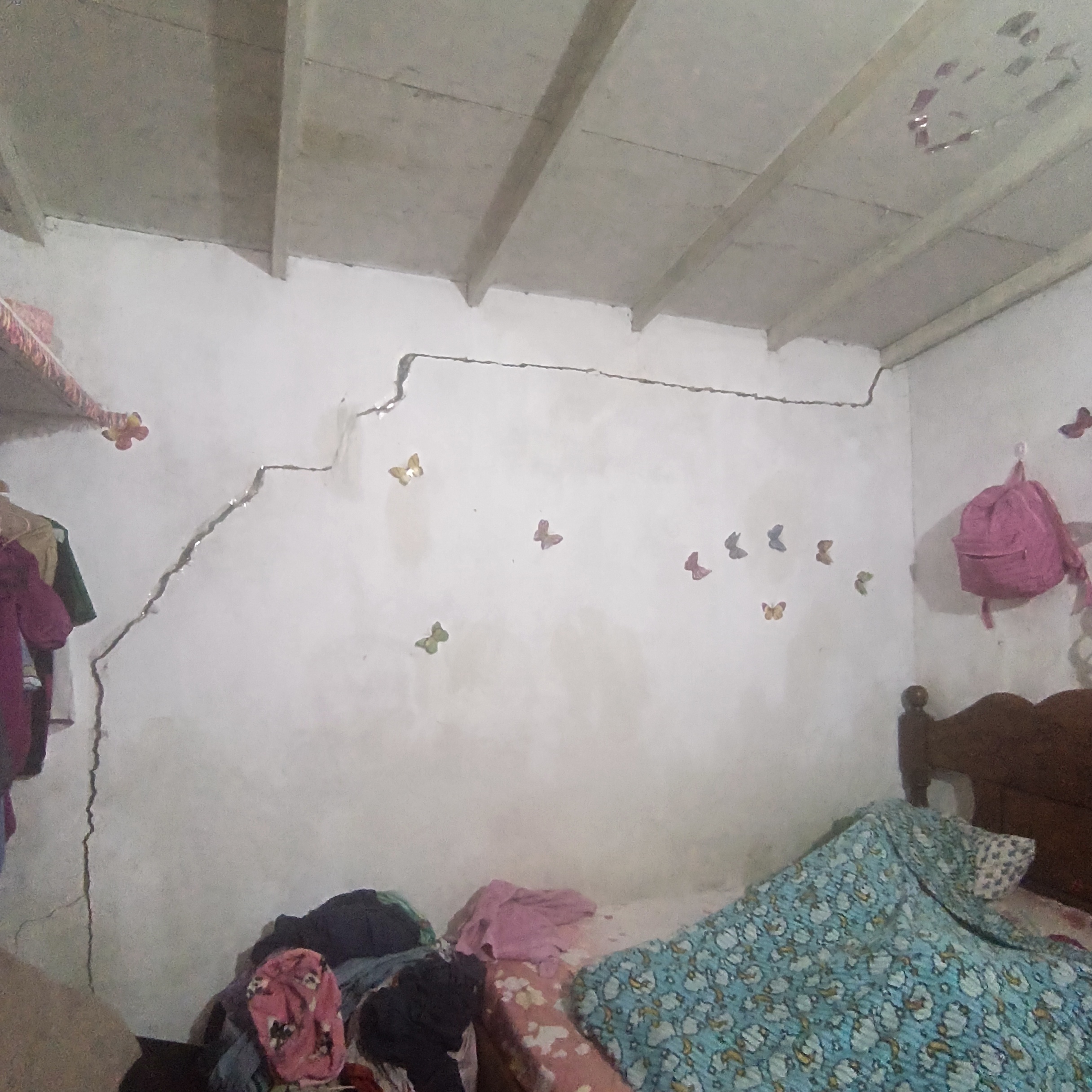 Foto reporte