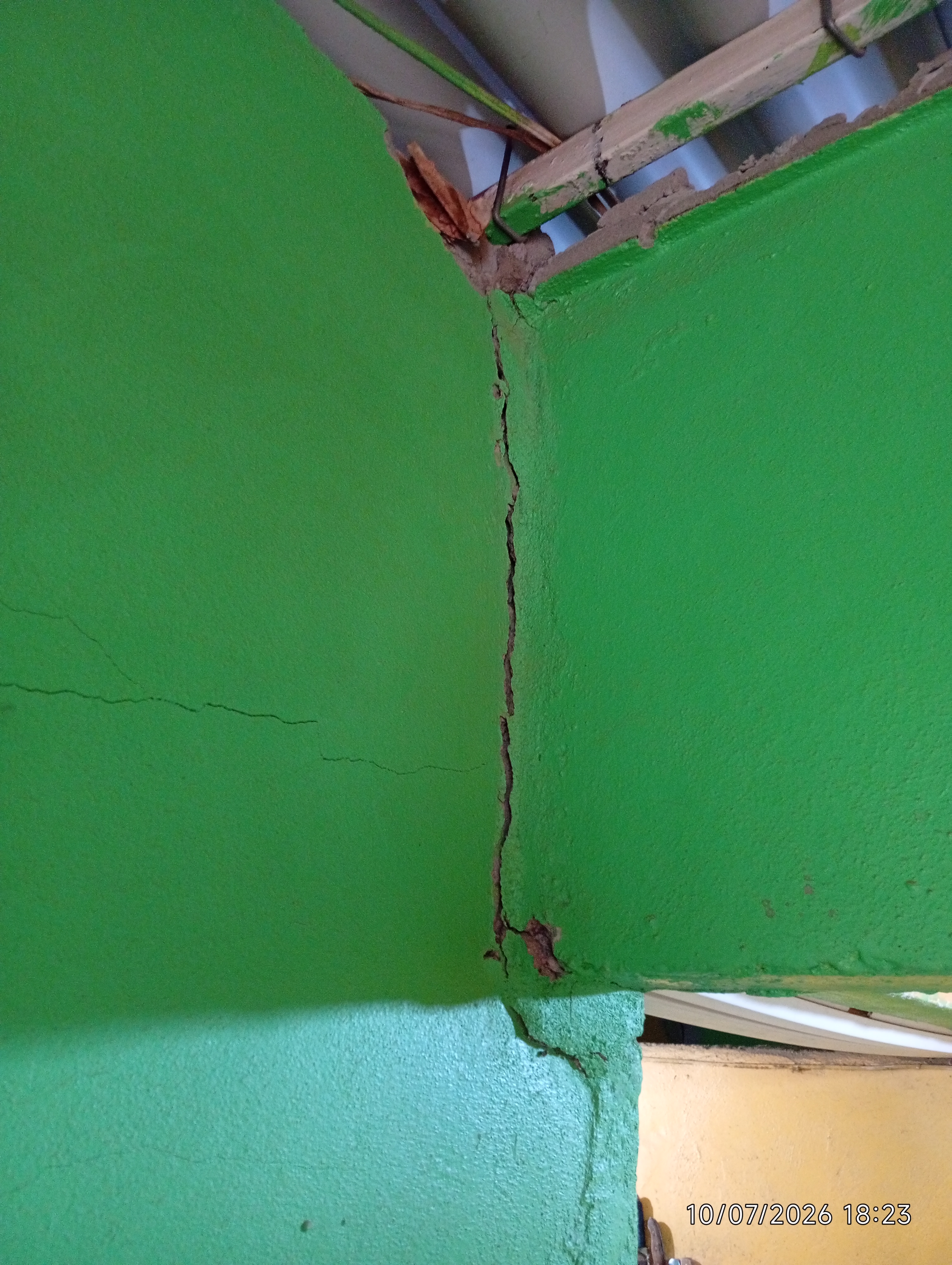 Foto reporte