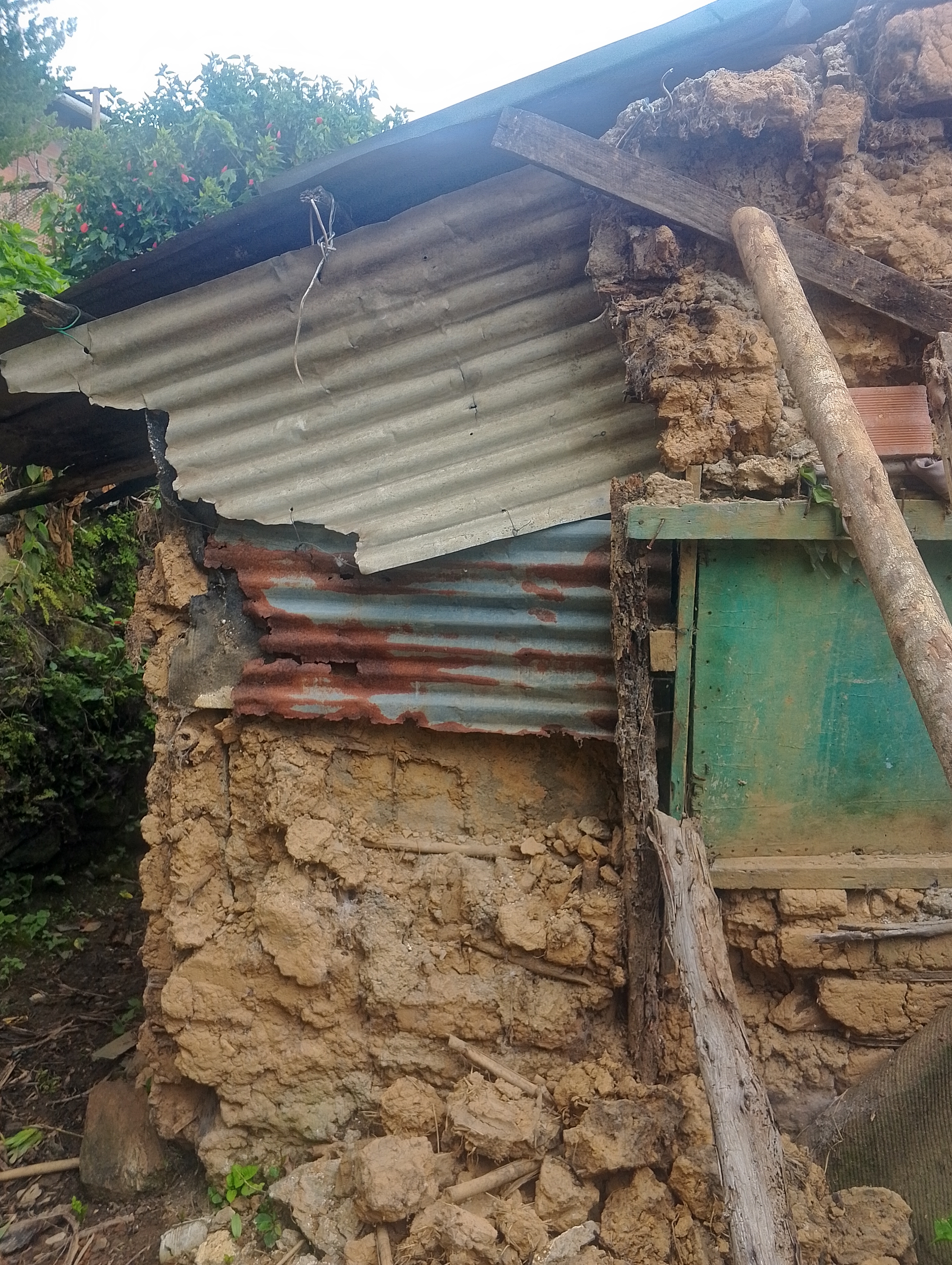 Foto reporte