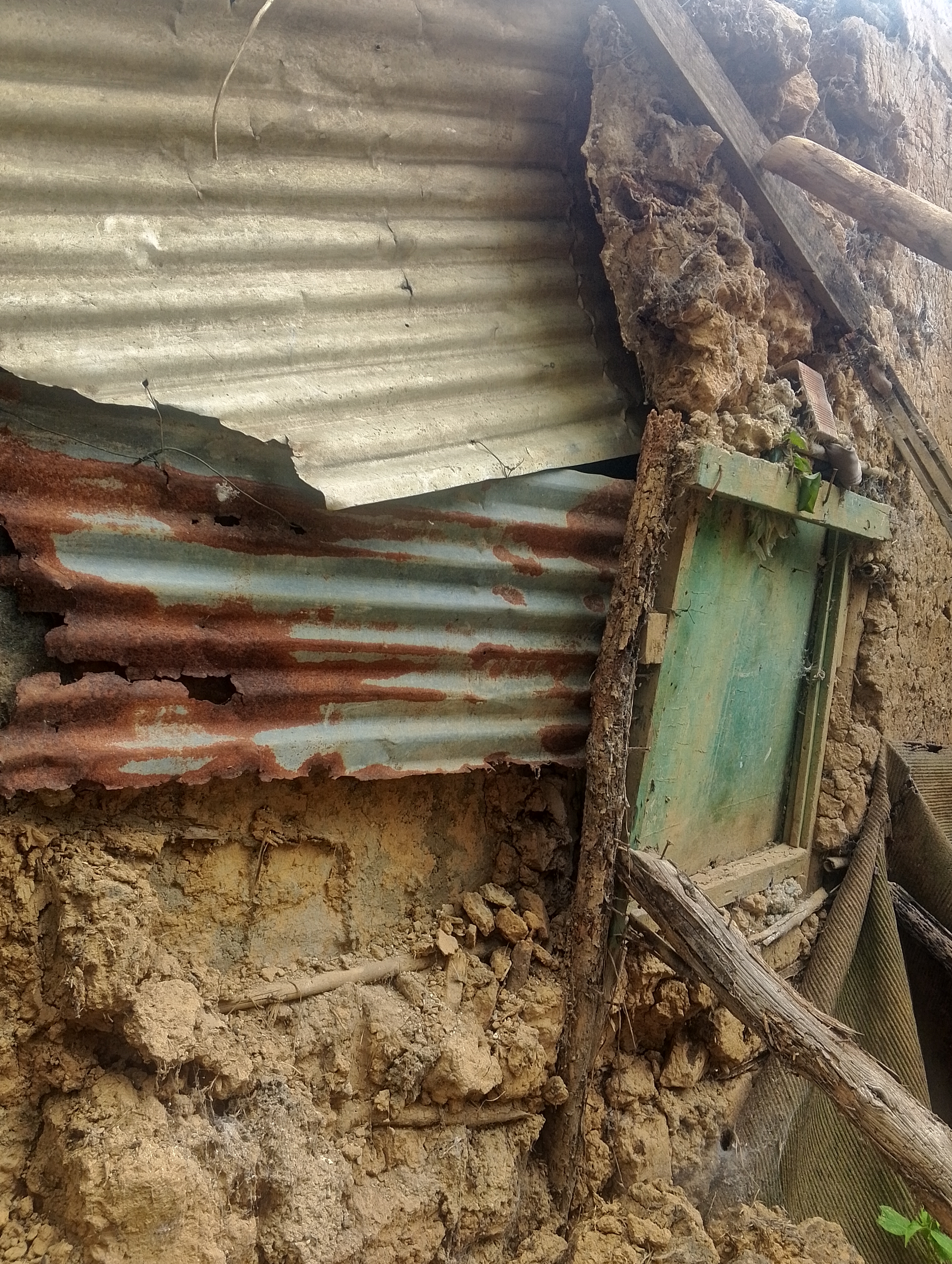 Foto reporte