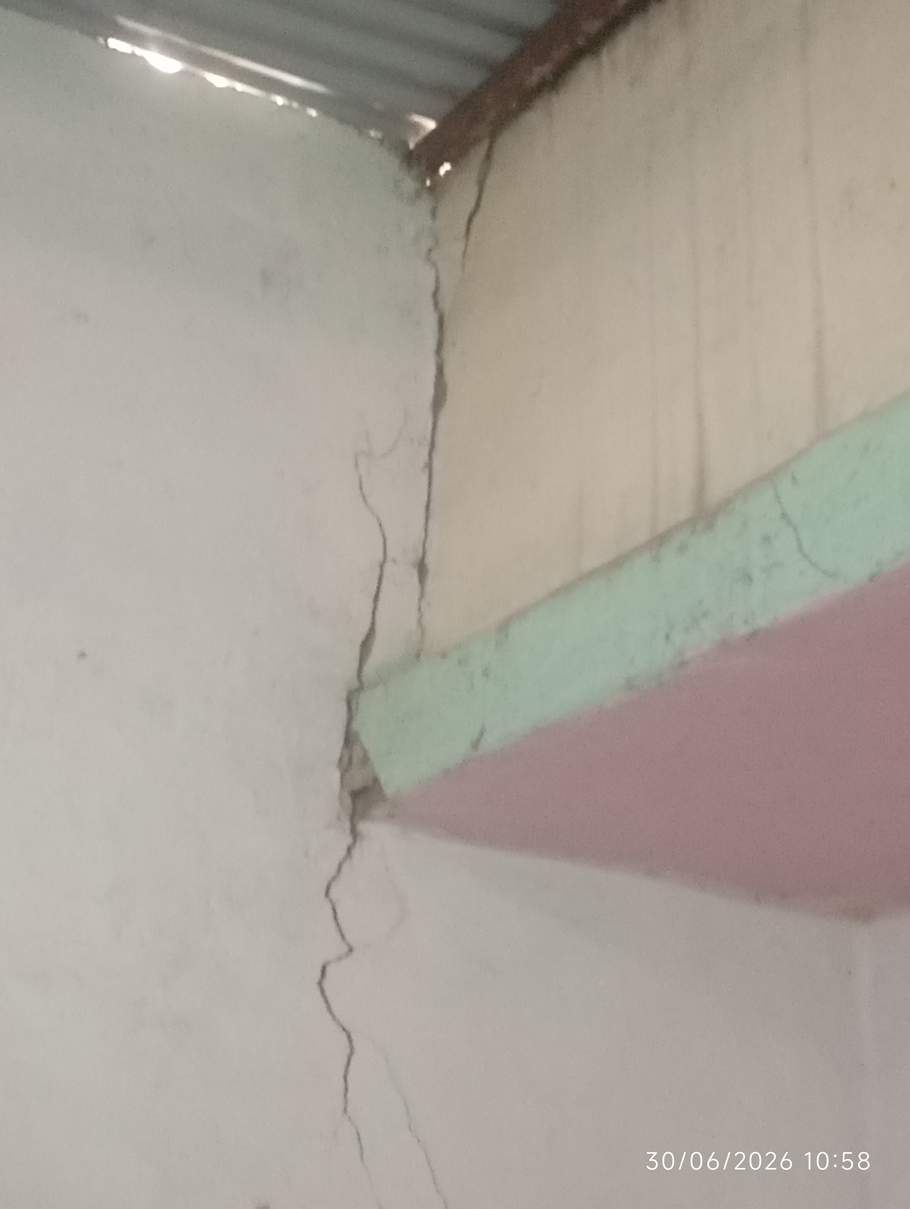 Foto reporte