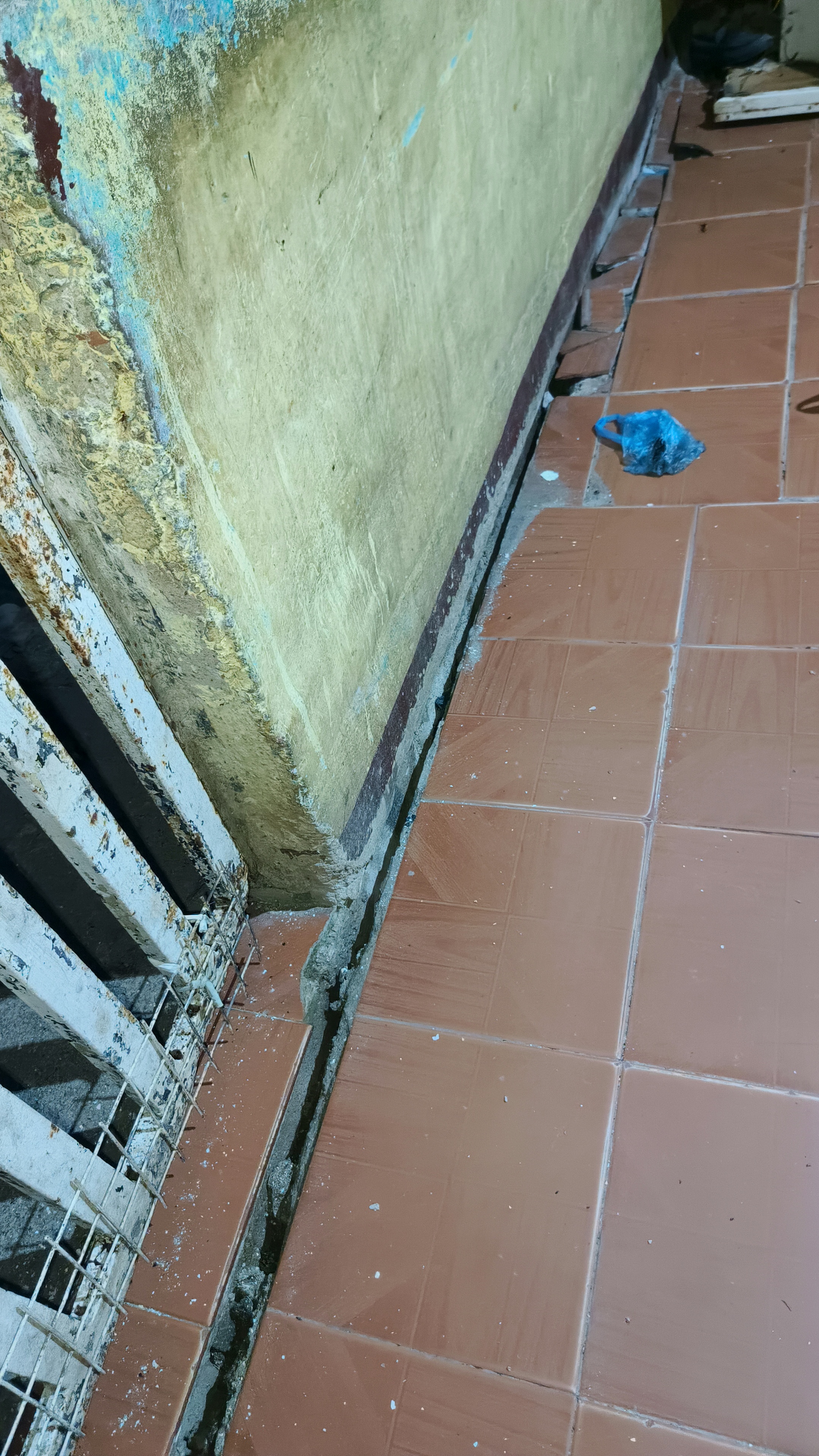 Foto reporte