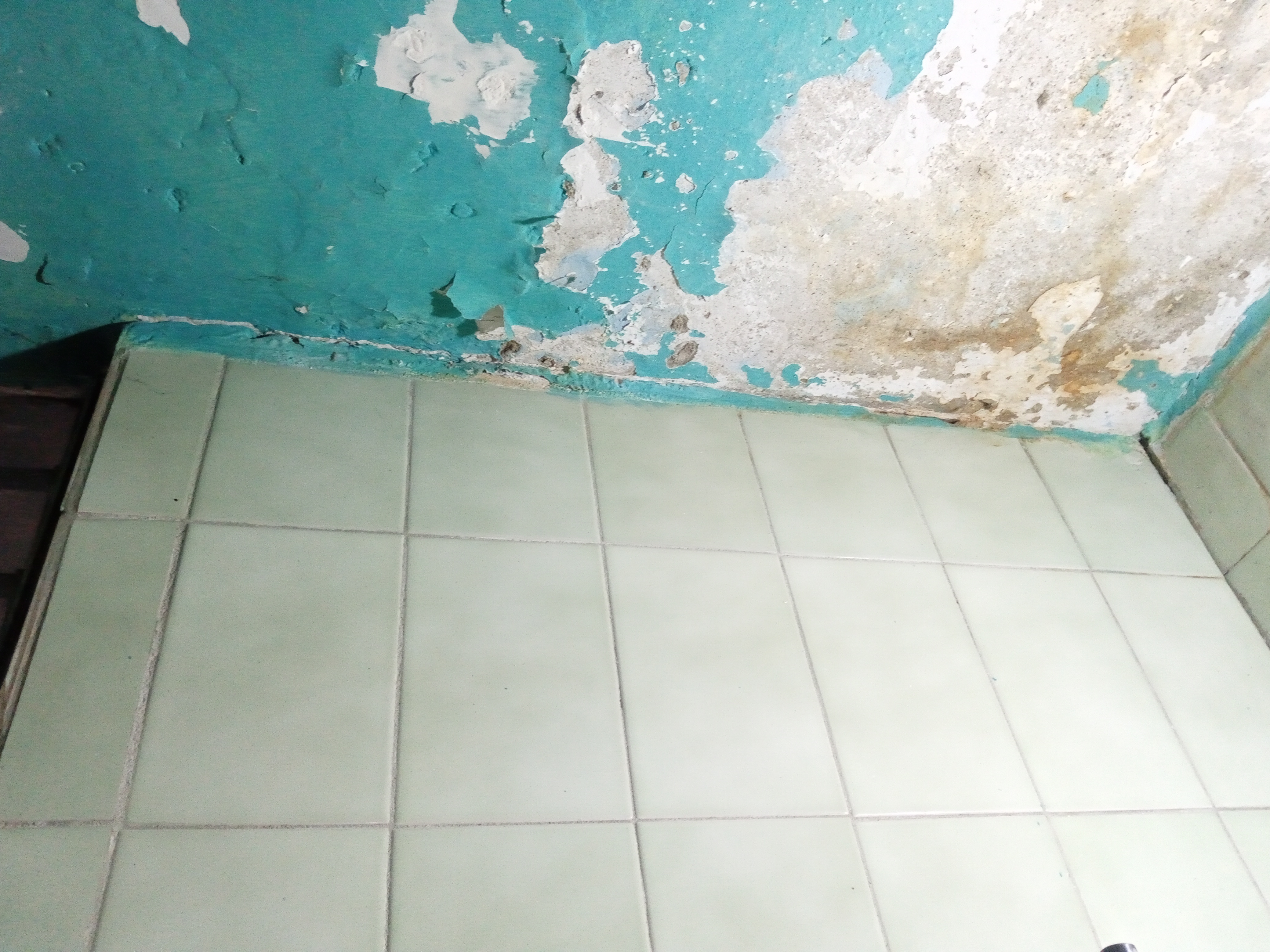 Foto reporte
