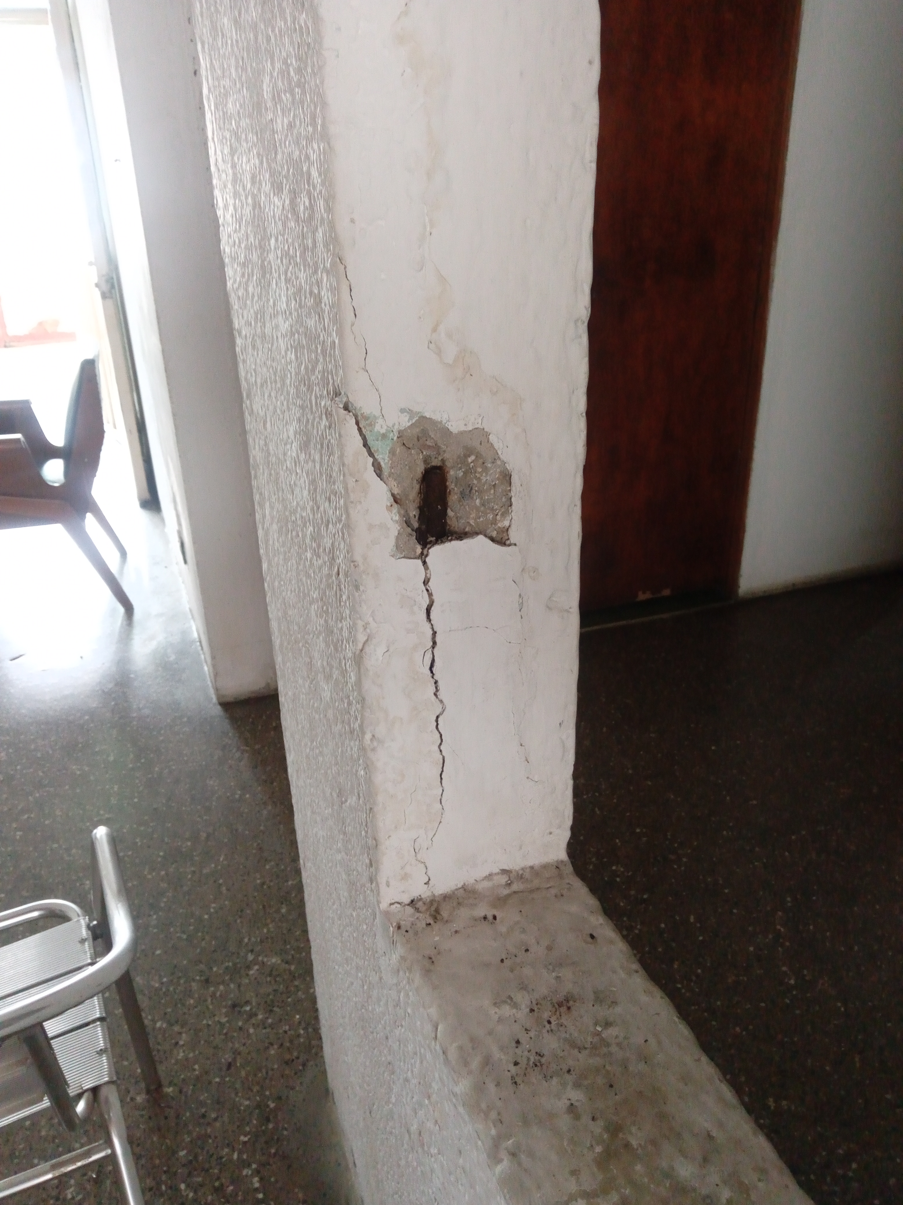 Foto reporte
