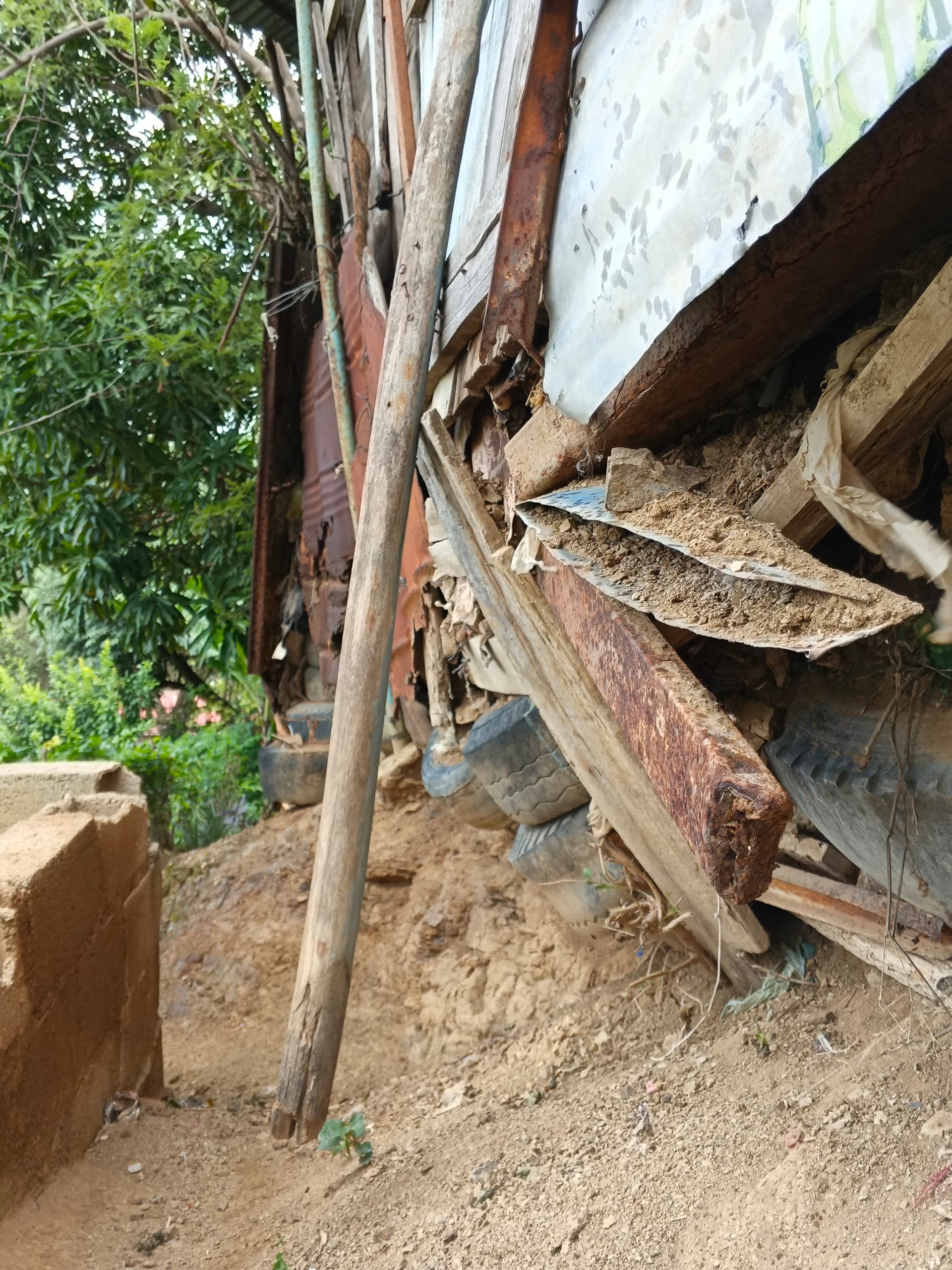 Foto reporte
