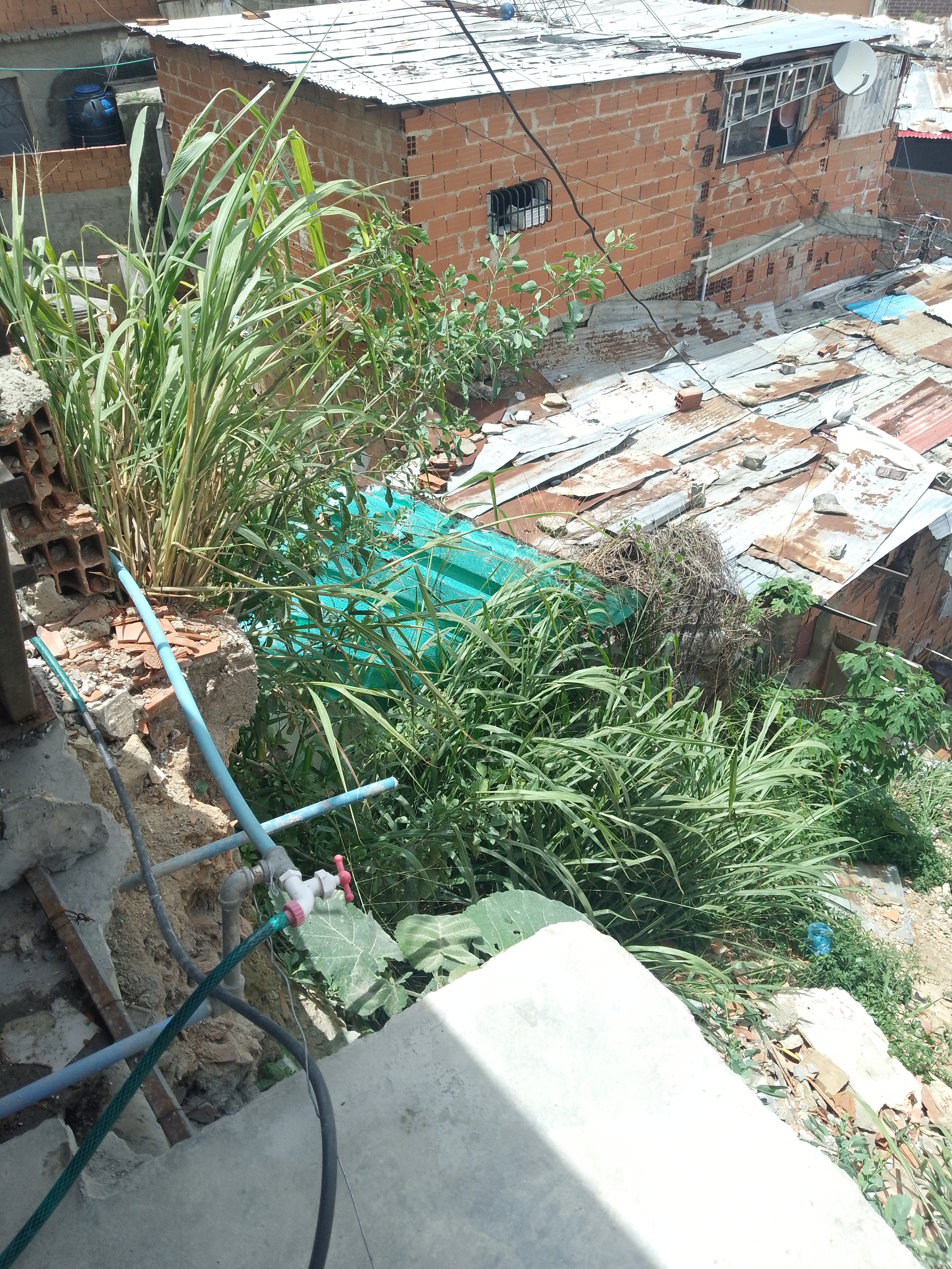 Foto reporte