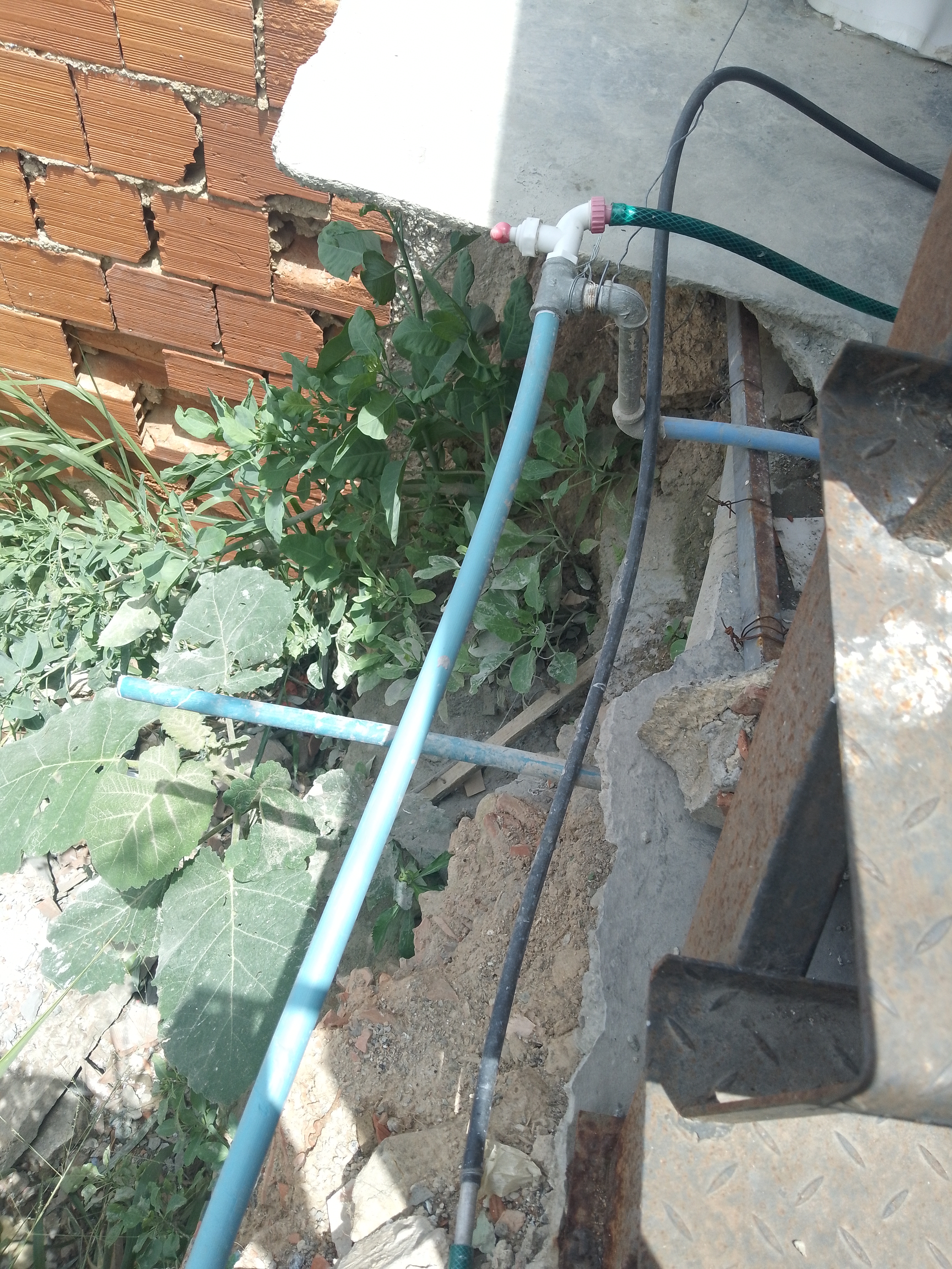 Foto reporte
