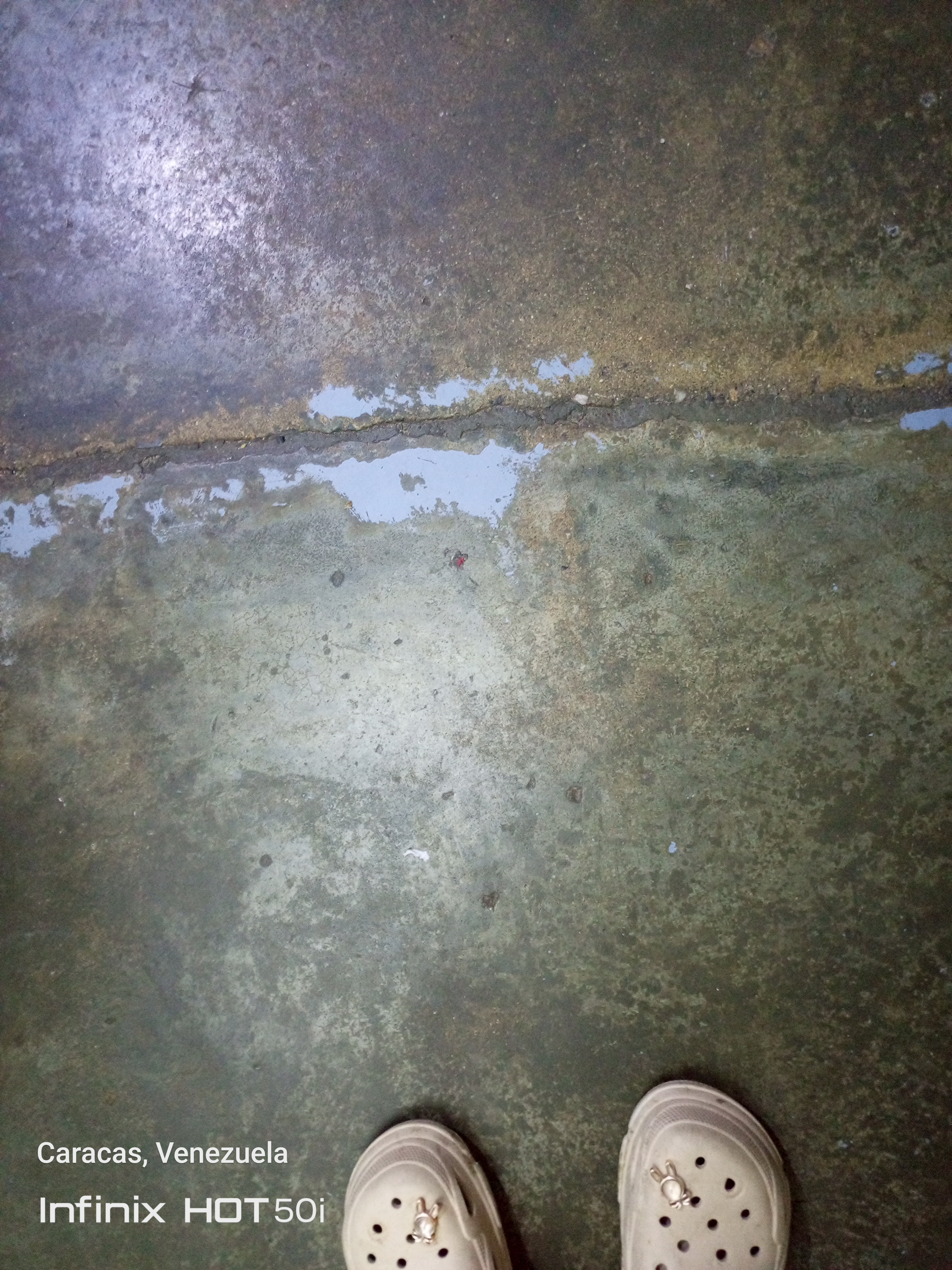 Foto reporte