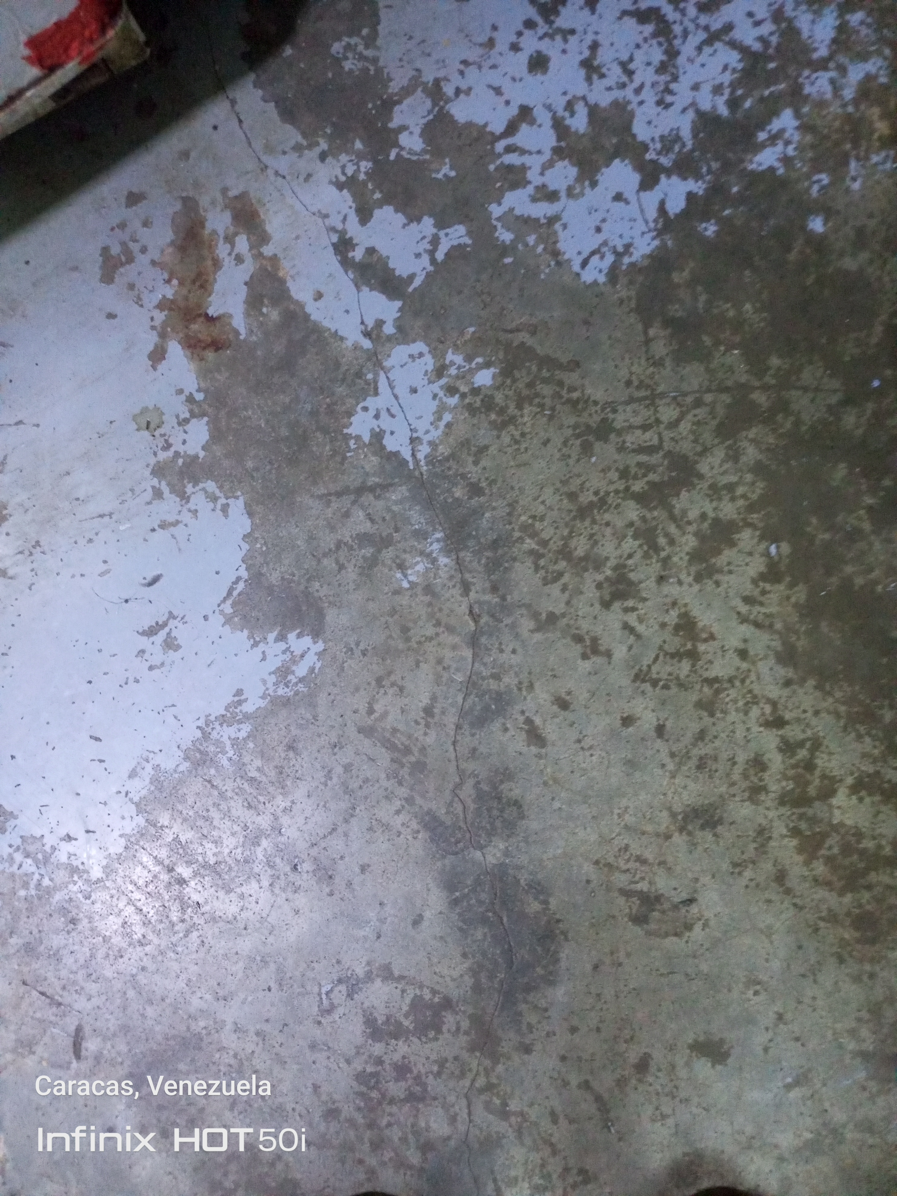 Foto reporte