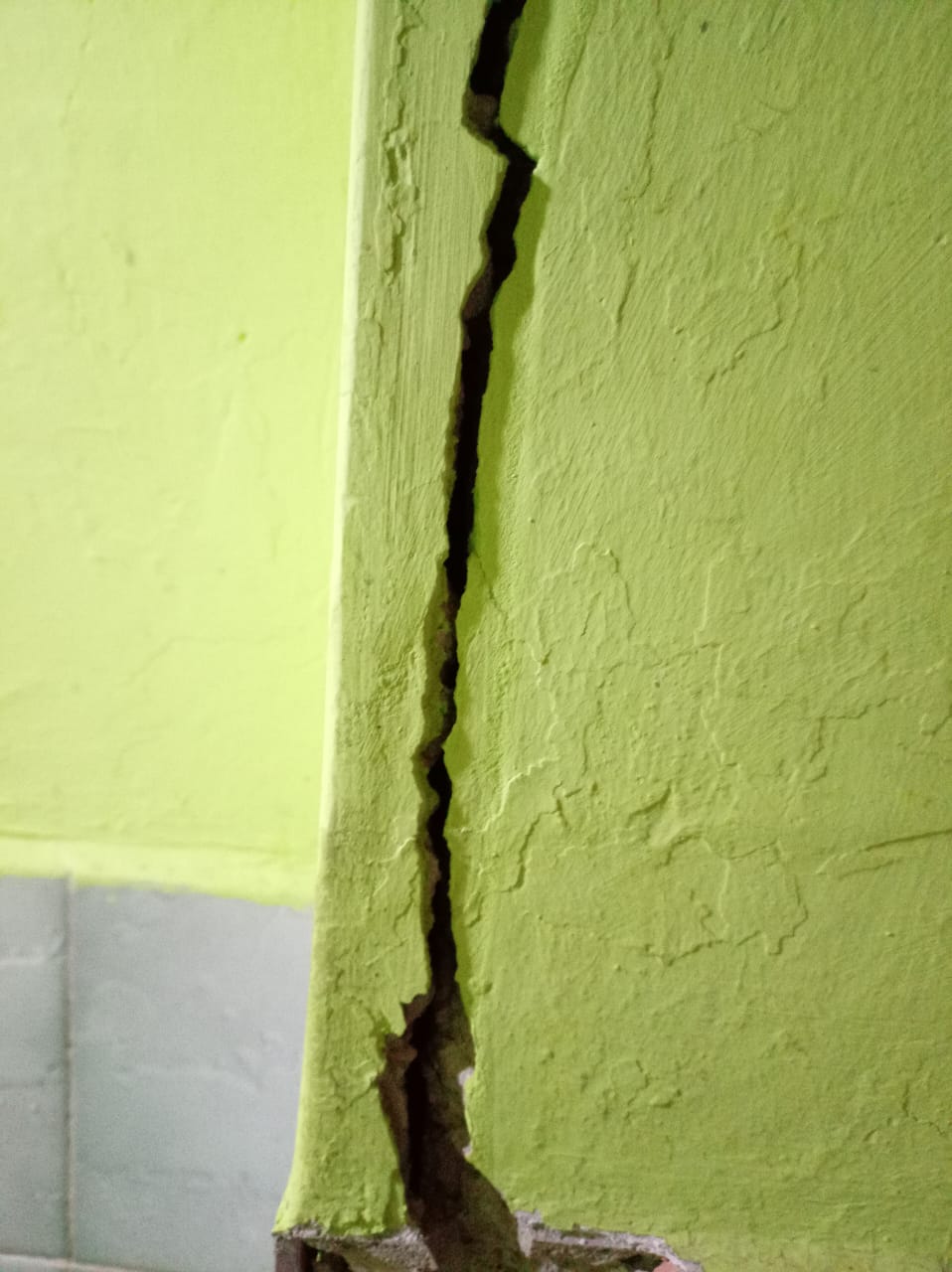 Foto reporte